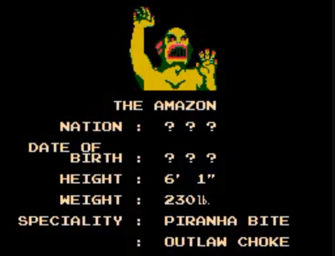 Pro Wrestling NES the Amazon